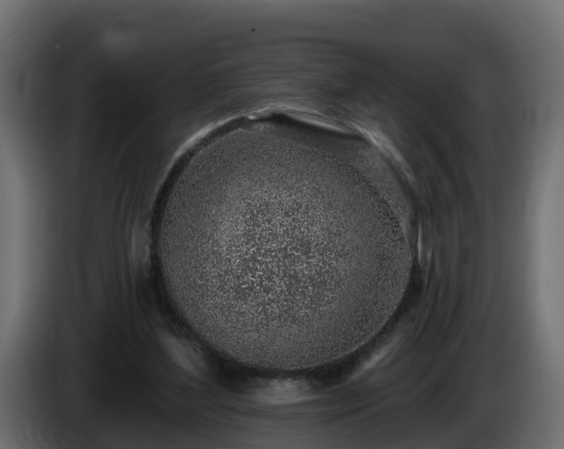 X0000085800204200703231337