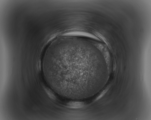 X0000085800205200703231337
