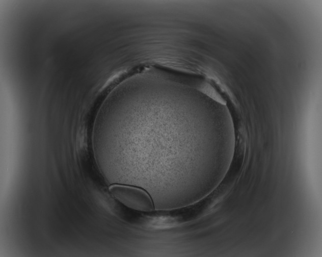 X0000085800212200703231337