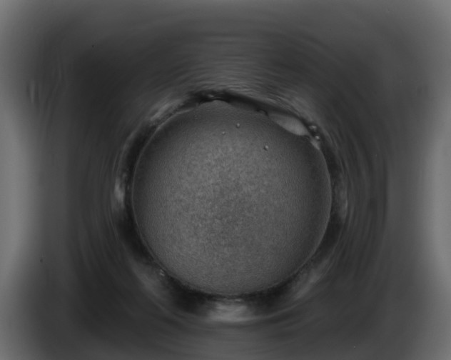 X0000085800214200703231337