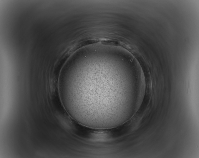 X0000085800218200703231337