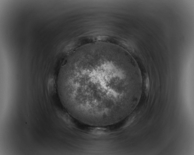 X0000085800222200703231337