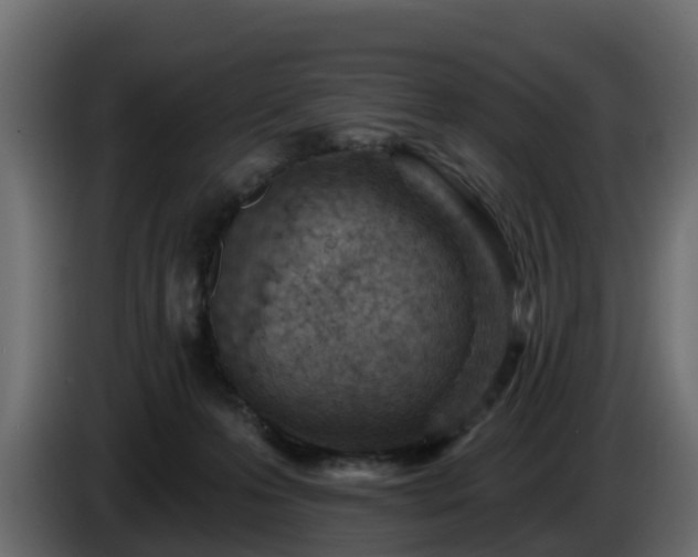 X0000085800223200703231337