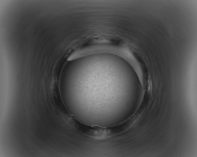 X0000085800225200703231337