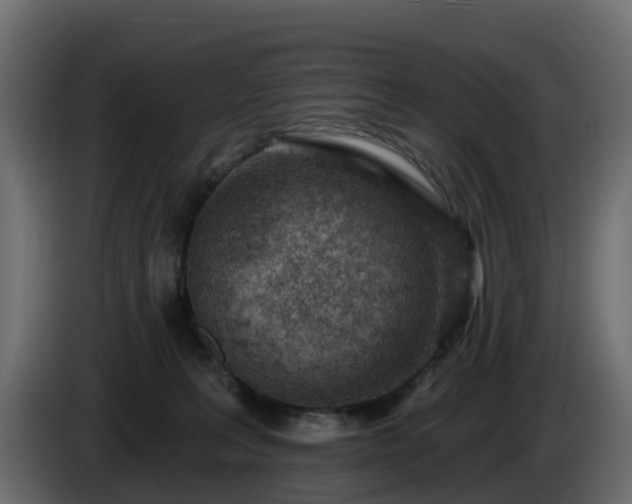 X0000085800227200703231337