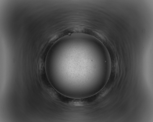 X0000085800228200703231337