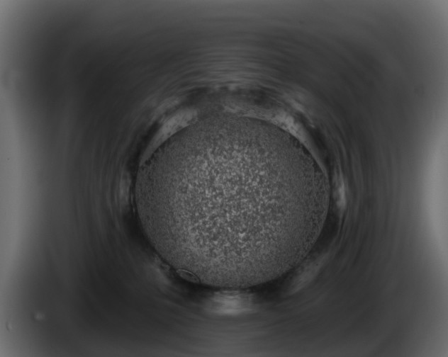 X0000085800231200703231337