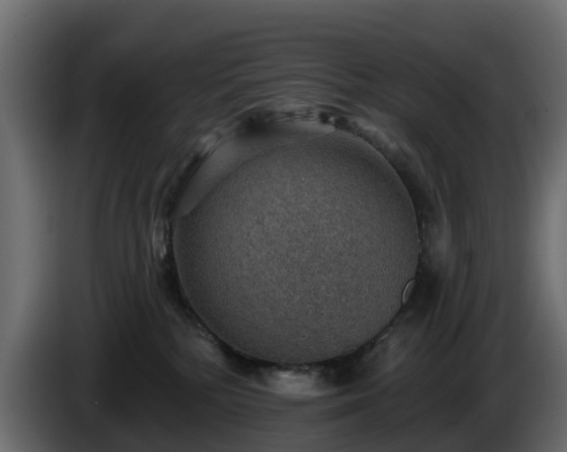 X0000085800232200703231337