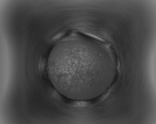 X0000085800233200703231337