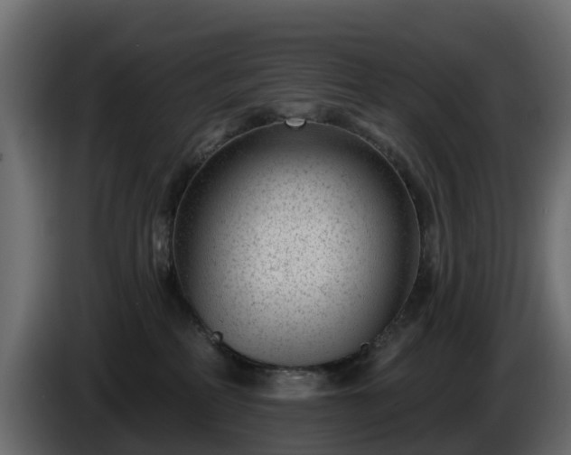 X0000085800234200703231337