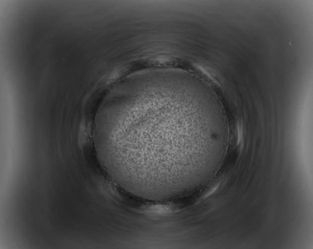 X0000085800236200703231337