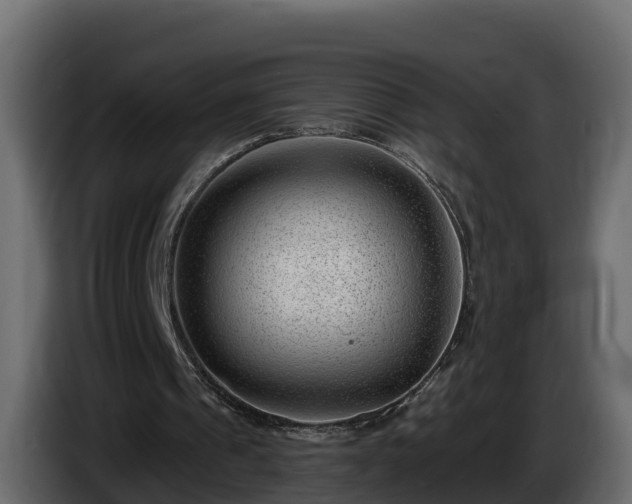 X0000085800241200703231336