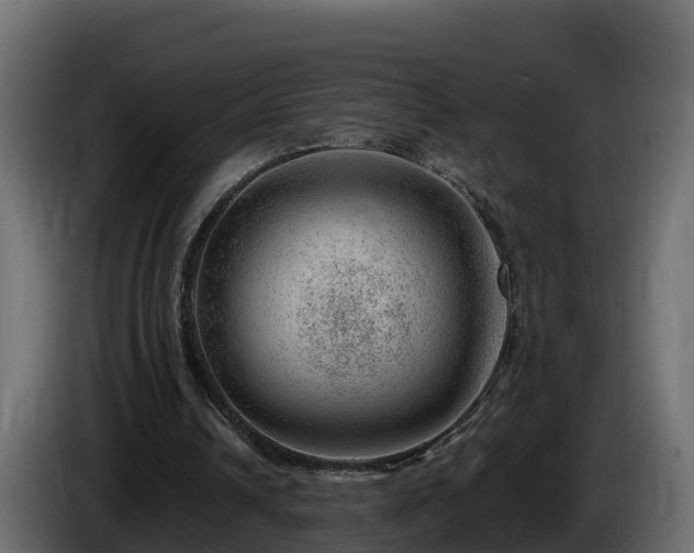 X0000085800242200703231336