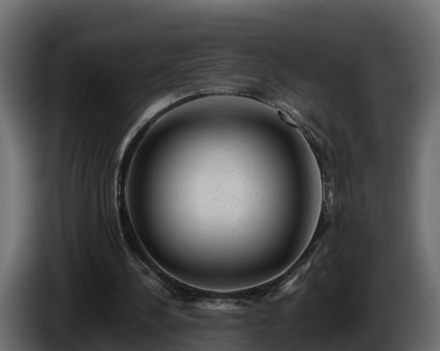 X0000085800244200703231336