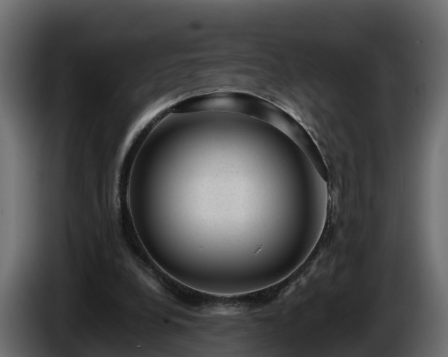X0000085800248200703231336