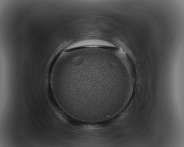 X0000085800250200703231336