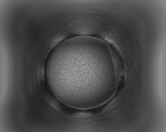 X0000085800251200703231336