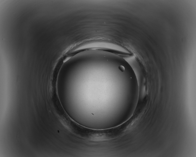 X0000085800252200703231336