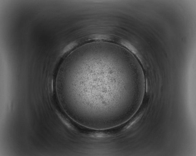 X0000085800253200703231336