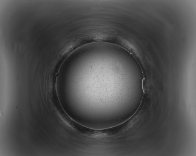X0000085800257200703231336