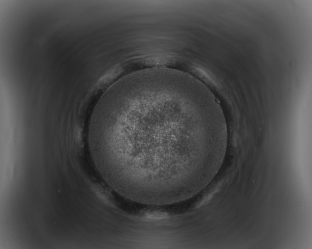 X0000085800258200703231337