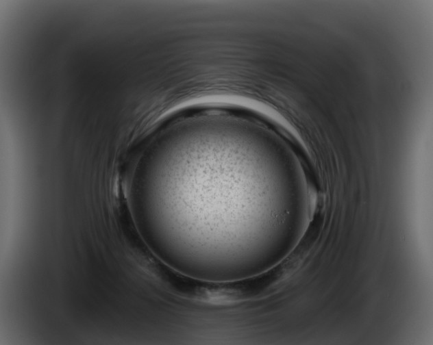 X0000085800268200703231337