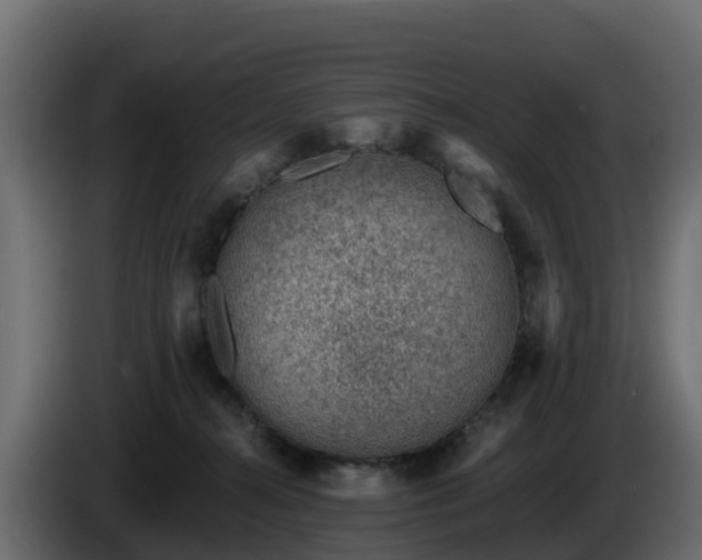 X0000085800272200703231337