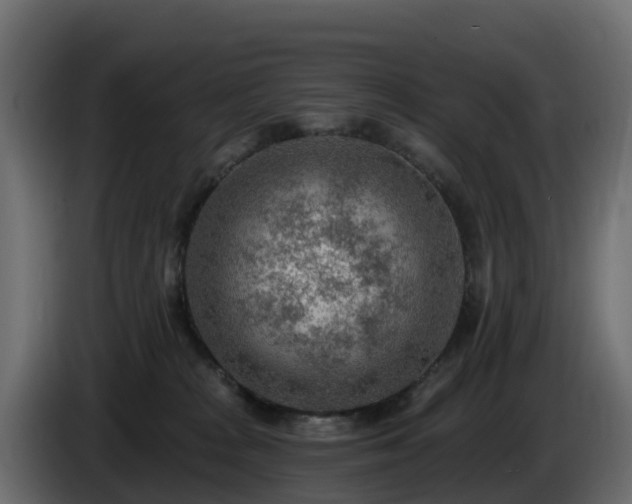 X0000085800277200703231337