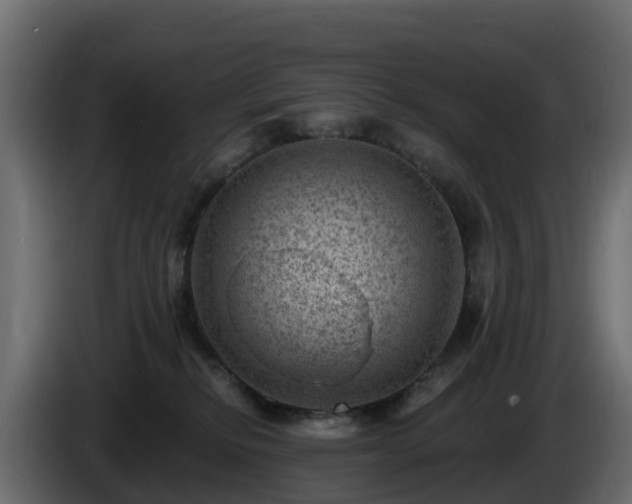 X0000085800278200703231337