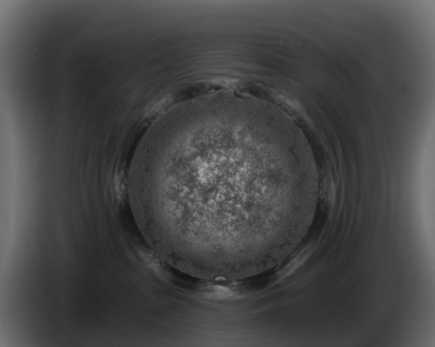 X0000085800285200703231337