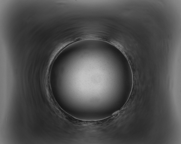 X0000085800289200703231336