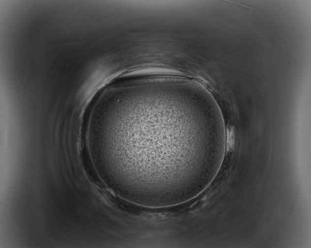 X0000085800291200703231336