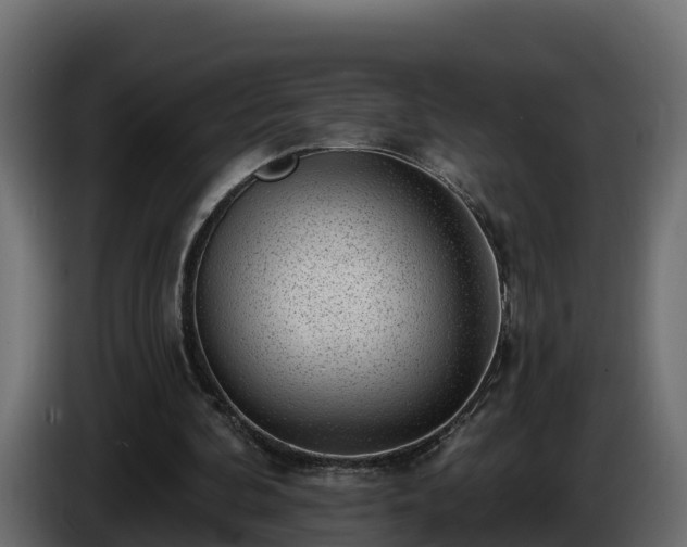 X0000085800292200703231336