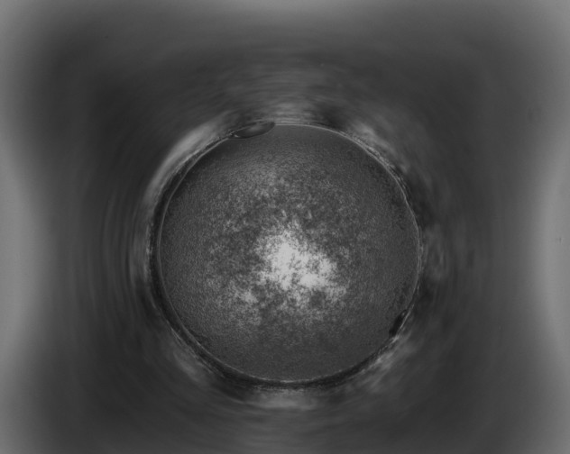 X0000085800293200703231336