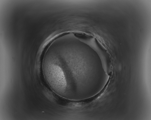 X0000085800295200703231336