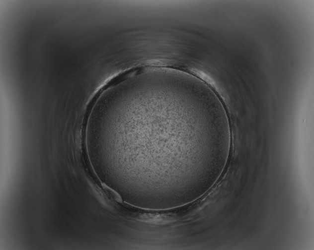 X0000085800297200703231336