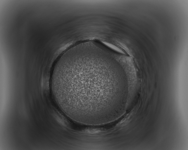 X0000085800299200703231336