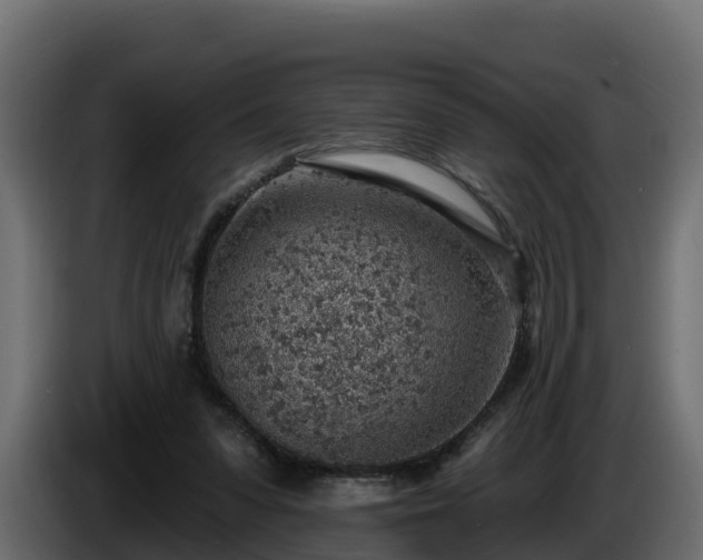 X0000085800303200703231336