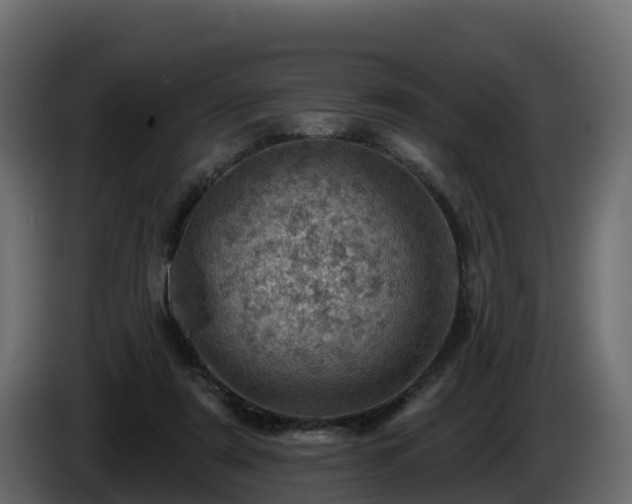 X0000085800307200703231336