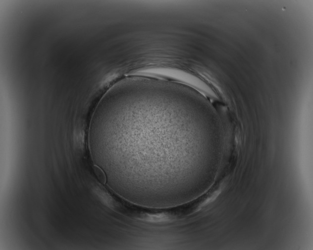 X0000085800309200703231336