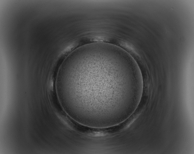 X0000085800310200703231336