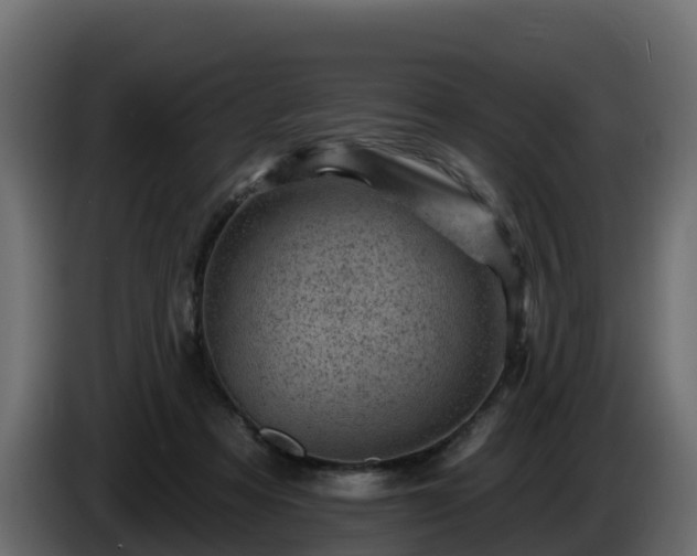 X0000085800313200703231336