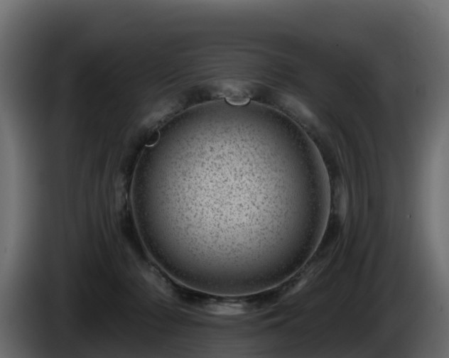 X0000085800318200703231336