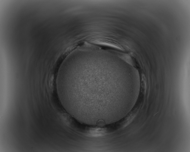 X0000085800319200703231336