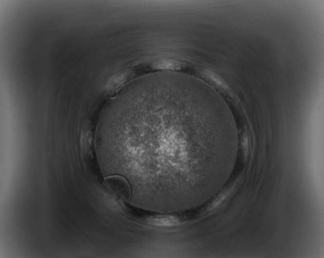 X0000085800322200703231336
