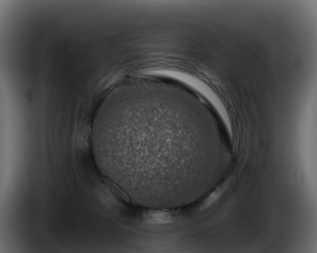 X0000085800325200703231336
