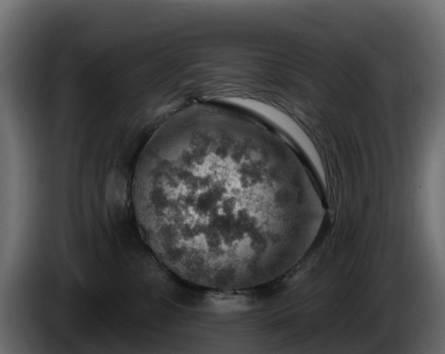 X0000085800331200703231336