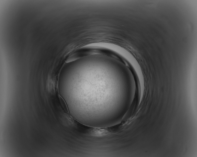 X0000085800333200703231336