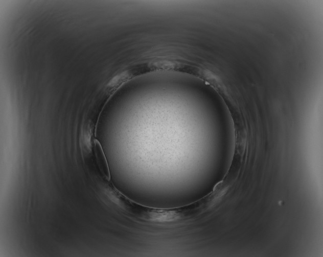 X0000085800334200703231336