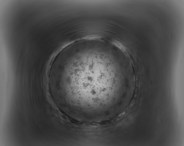 X0000085800337200703231335